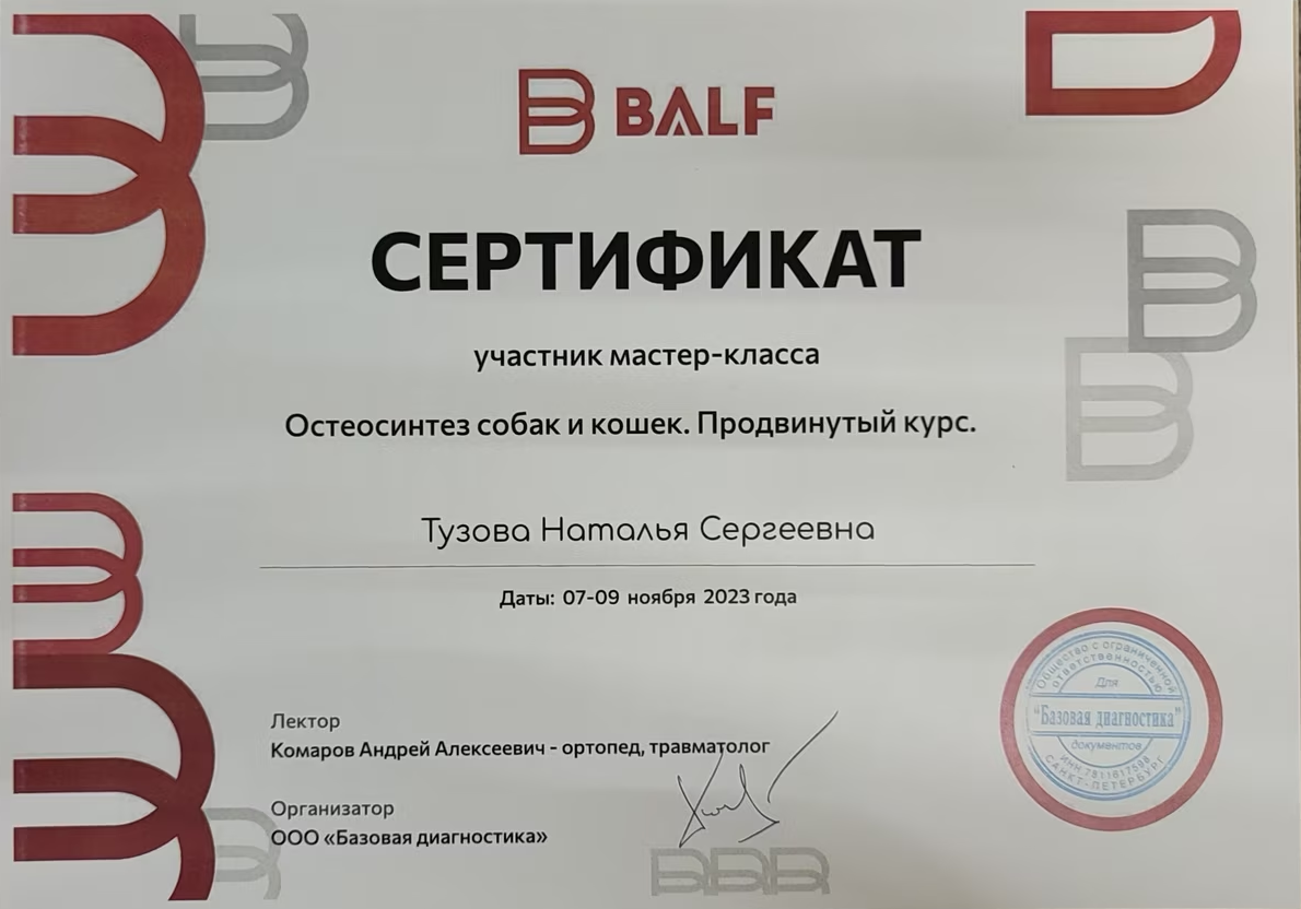 Документ или сертификат