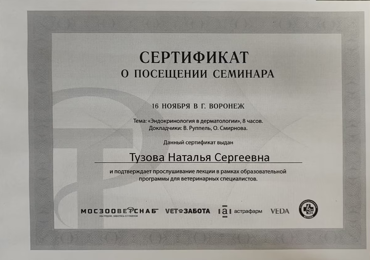 Документ или сертификат
