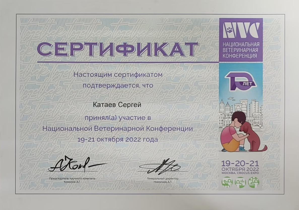 Документ или сертификат
