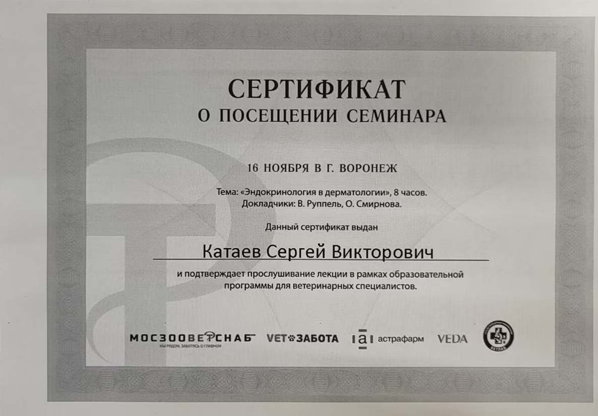 Документ или сертификат