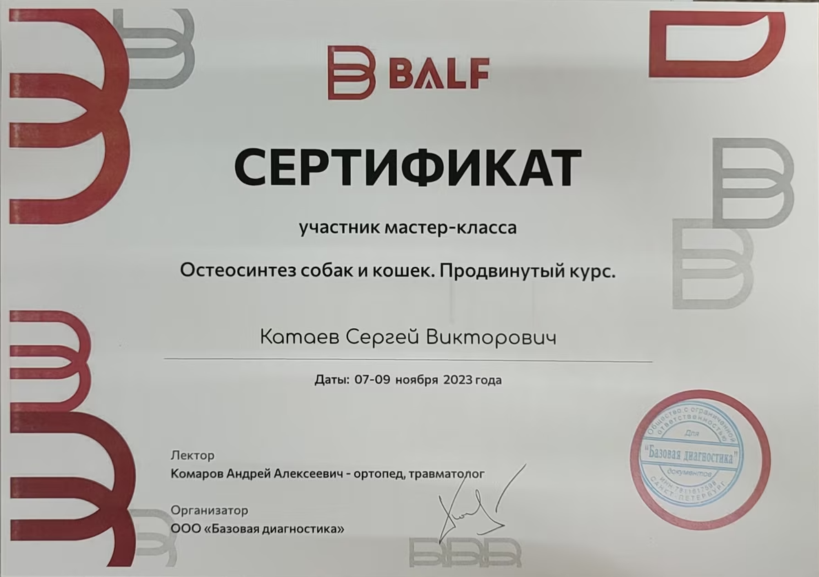 Документ или сертификат
