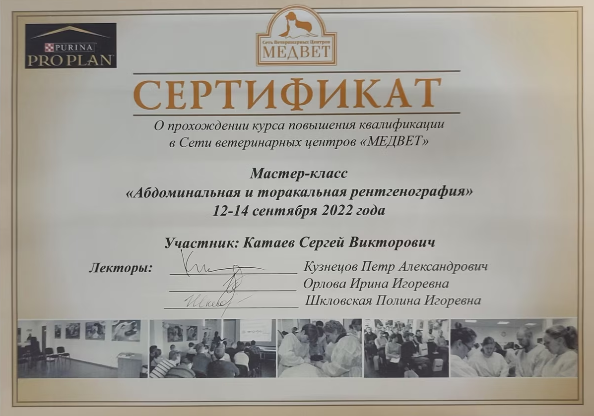 Документ или сертификат