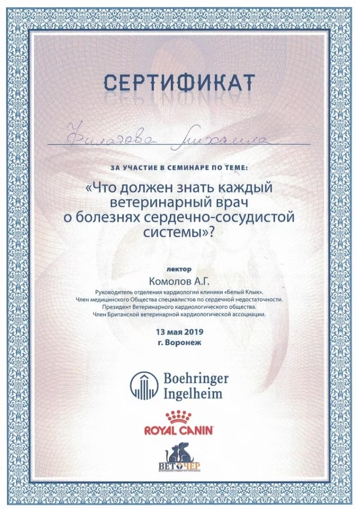 Документ или сертификат