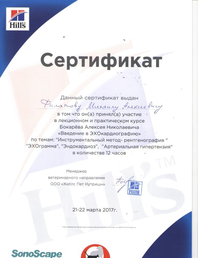 Документ или сертификат