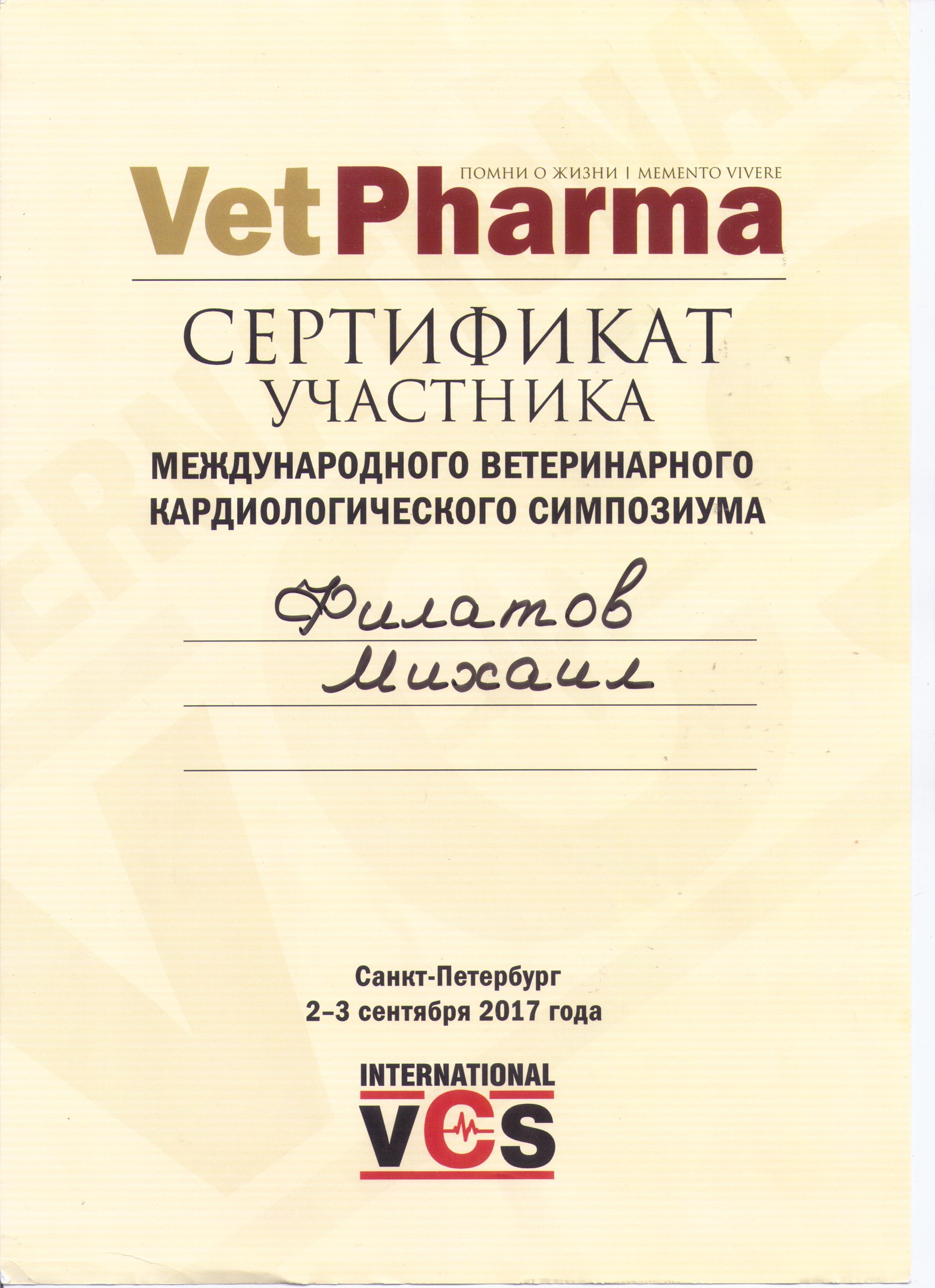 Документ или сертификат