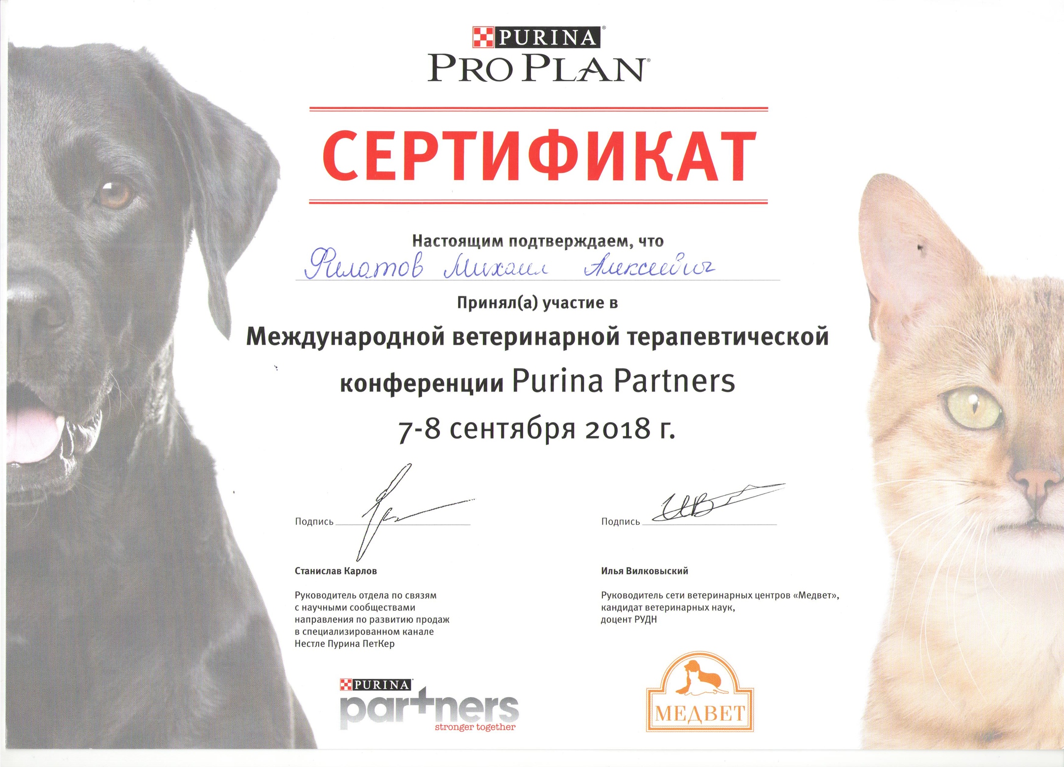Документ или сертификат