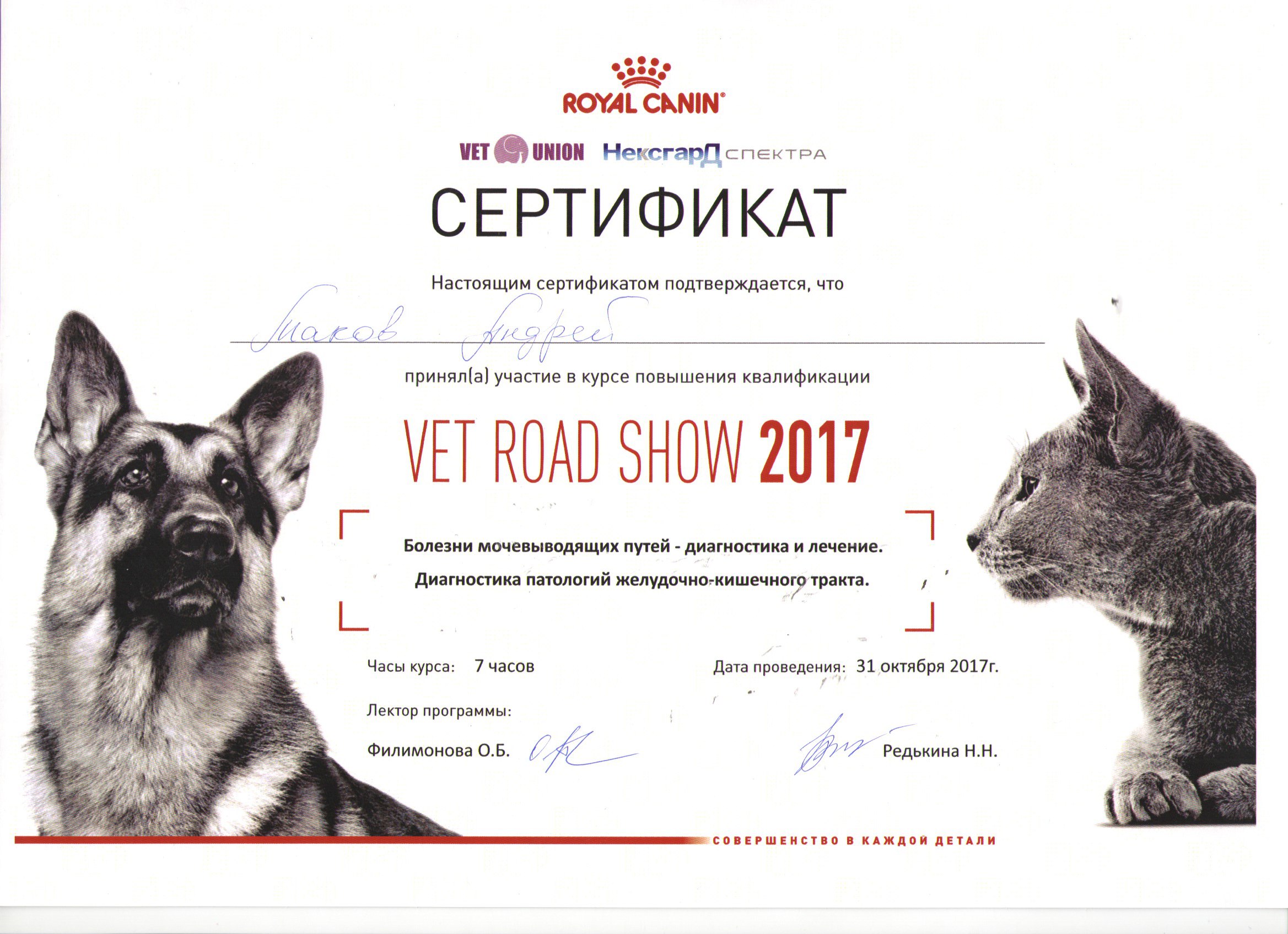 Документ или сертификат