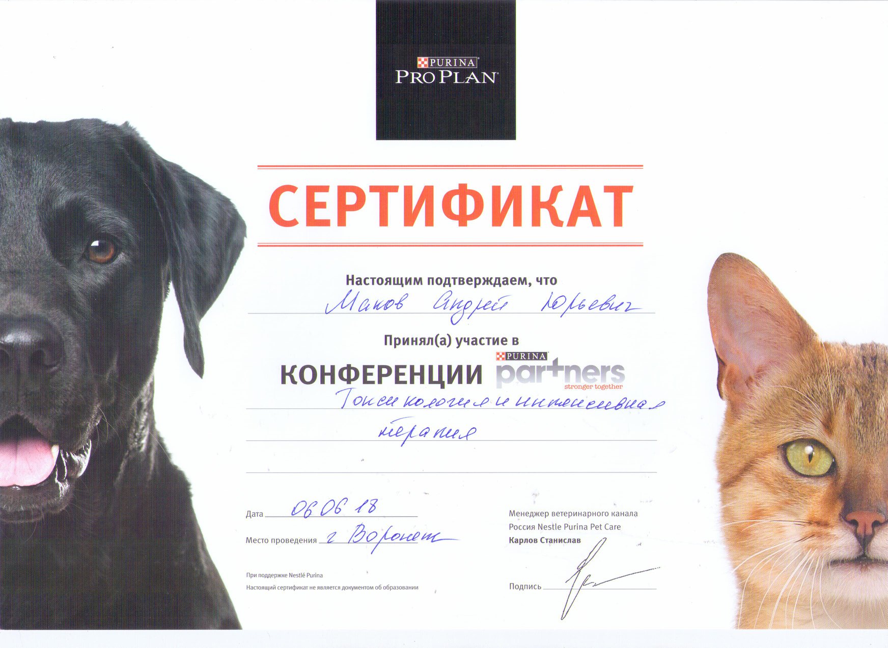 Документ или сертификат