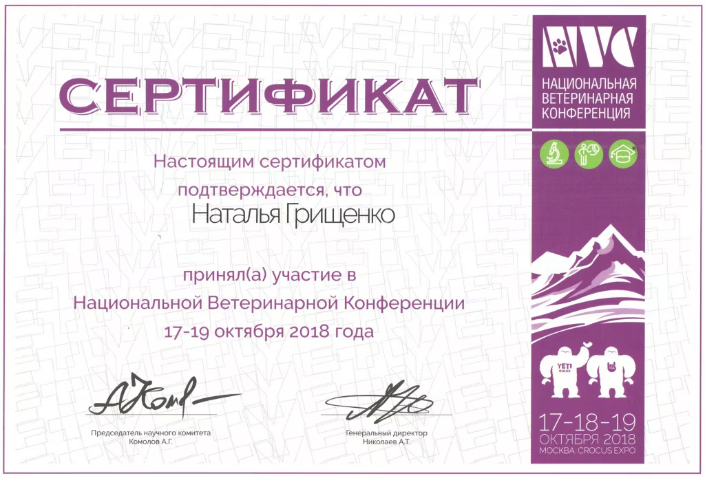 Документ или сертификат