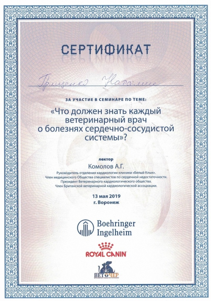 Документ или сертификат