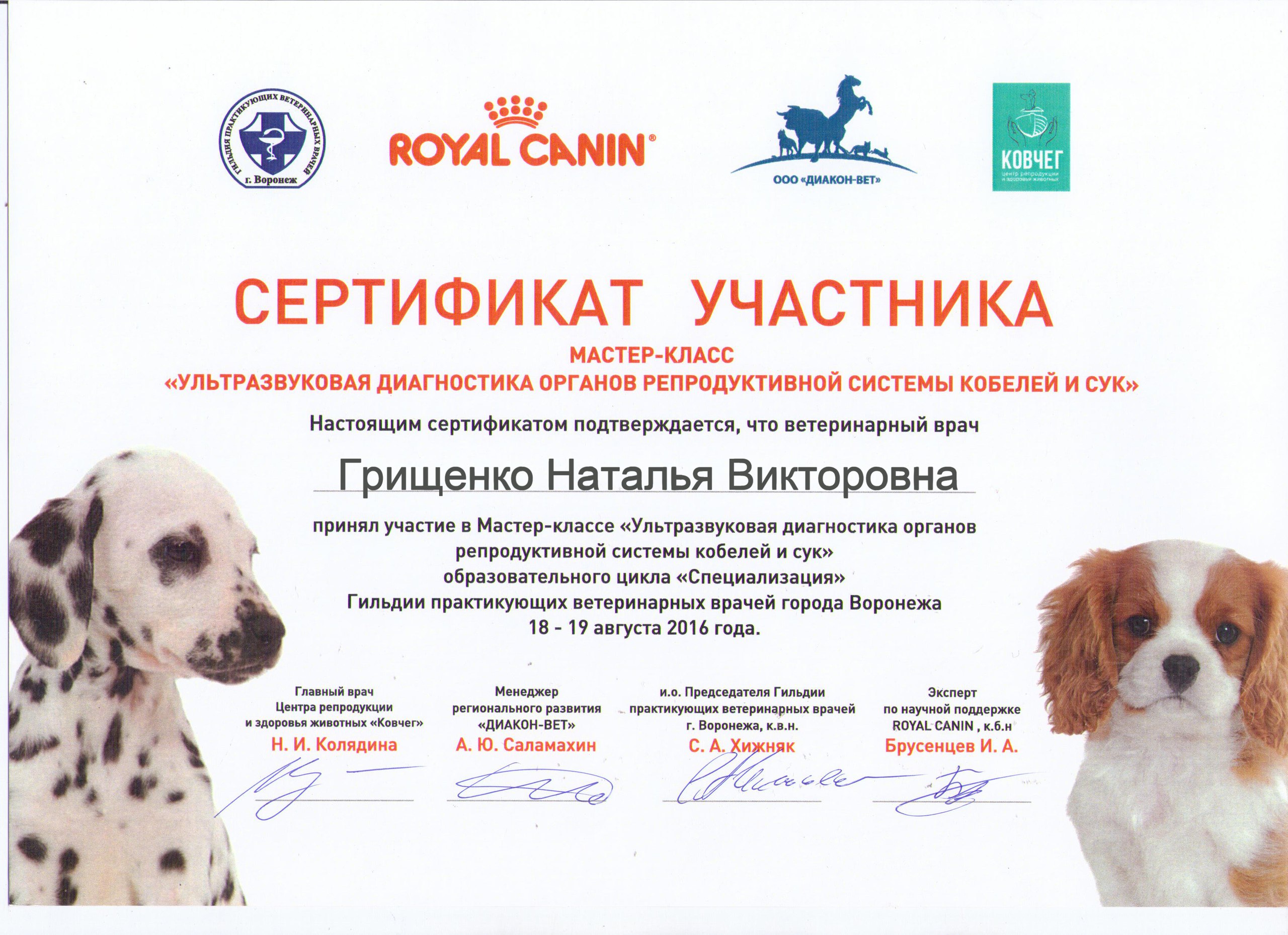 Документ или сертификат