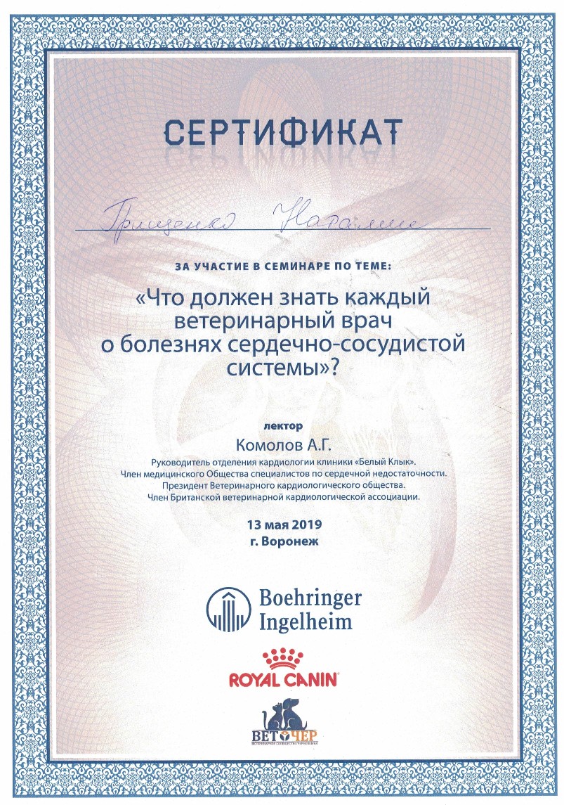 Документ или сертификат