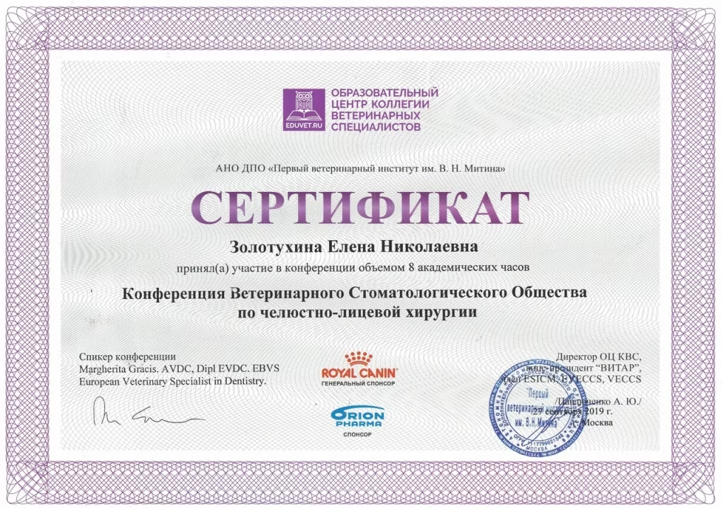 Документ или сертификат