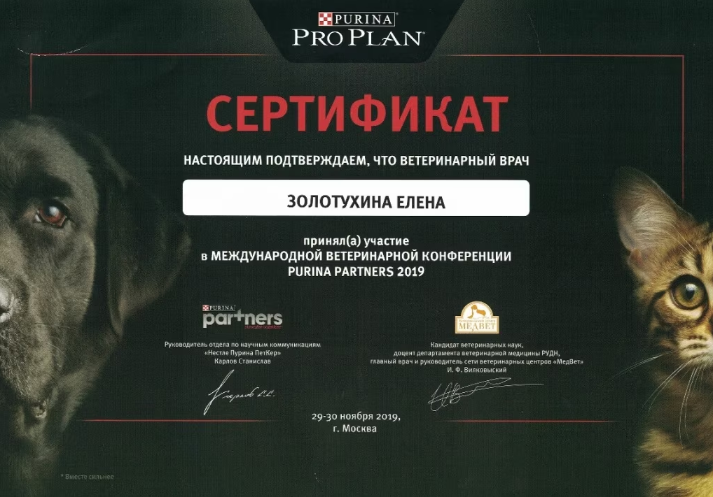 Документ или сертификат