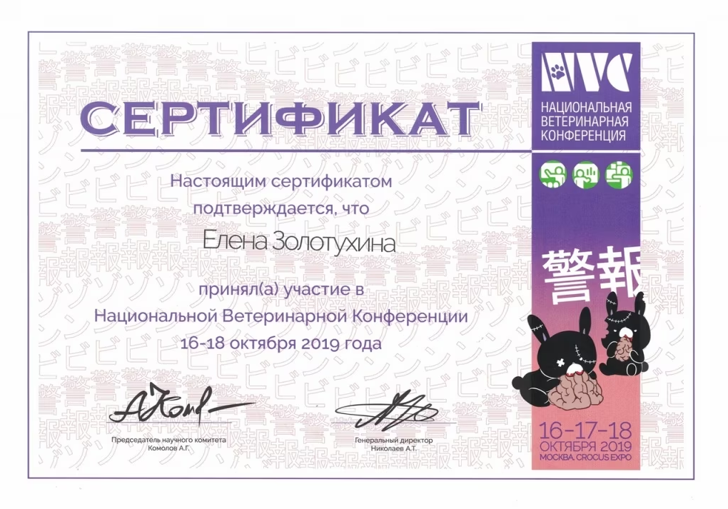 Документ или сертификат