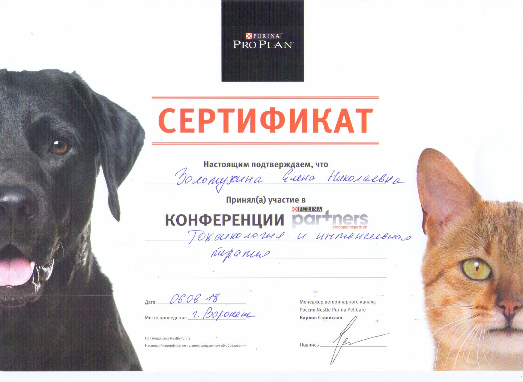 Документ или сертификат