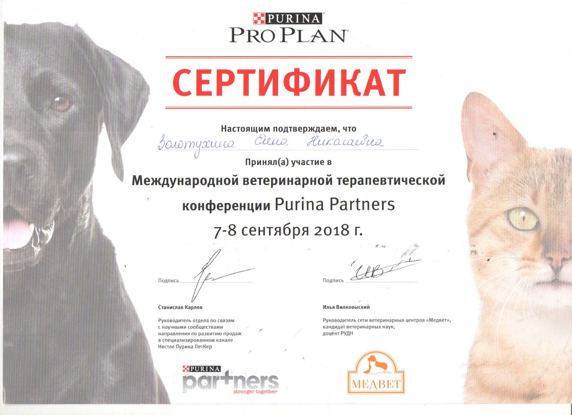 Документ или сертификат