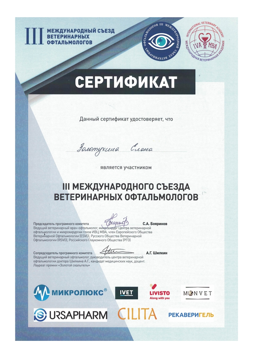 Документ или сертификат