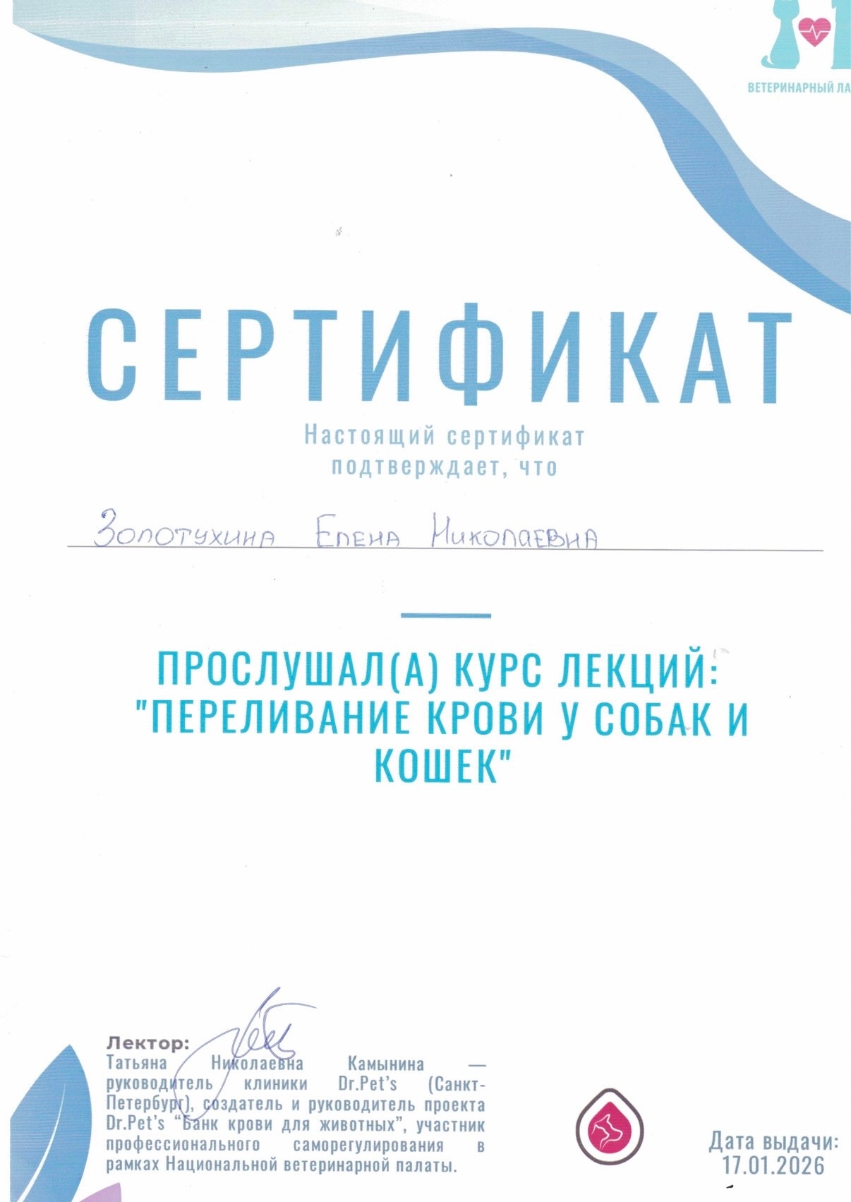 Документ или сертификат