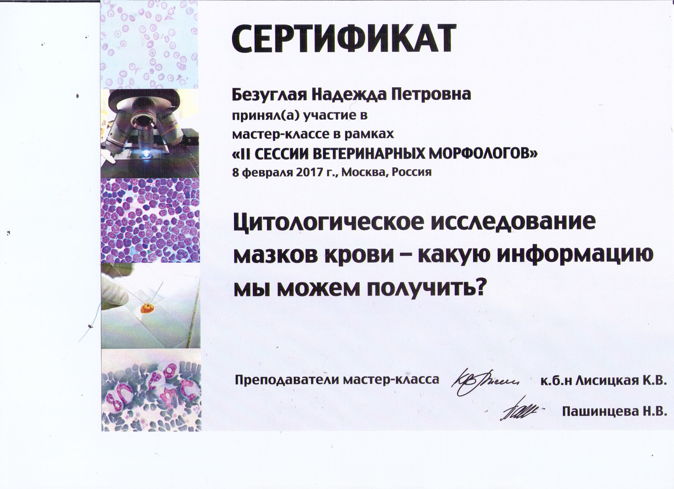 Документ или сертификат