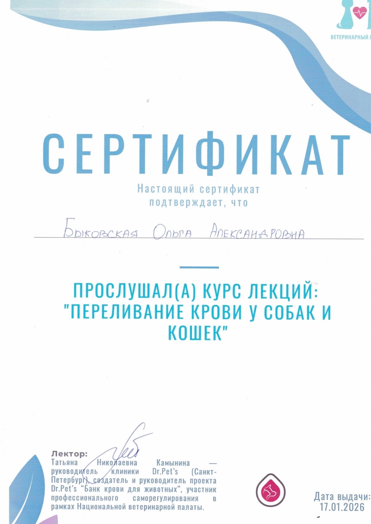 Документ или сертификат