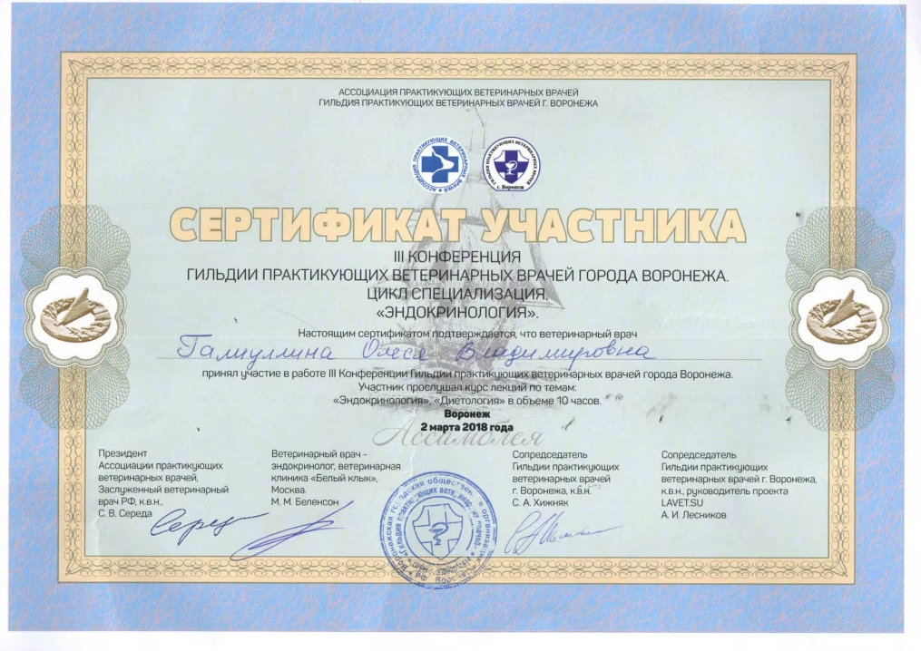 Документ или сертификат