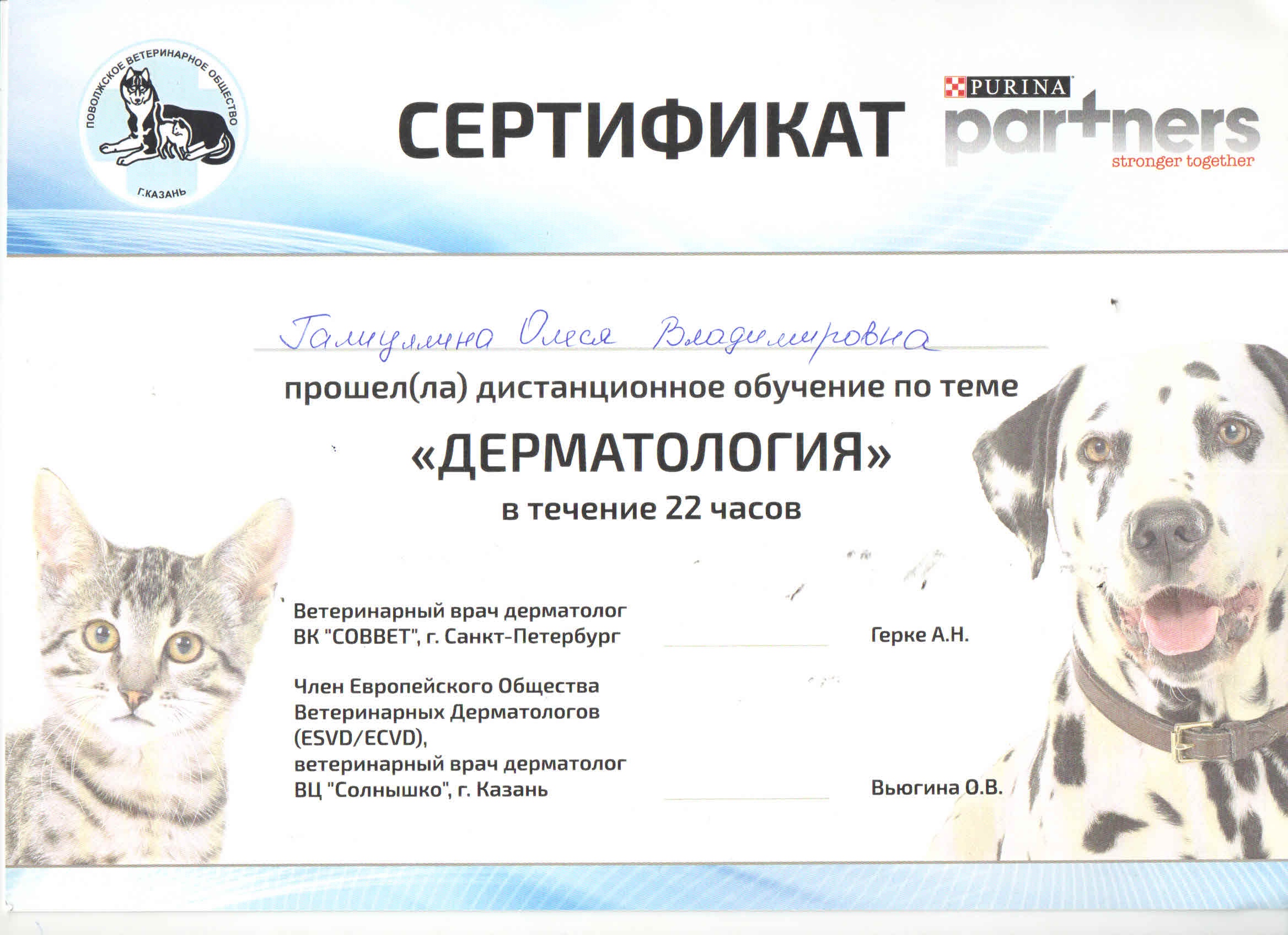Документ или сертификат