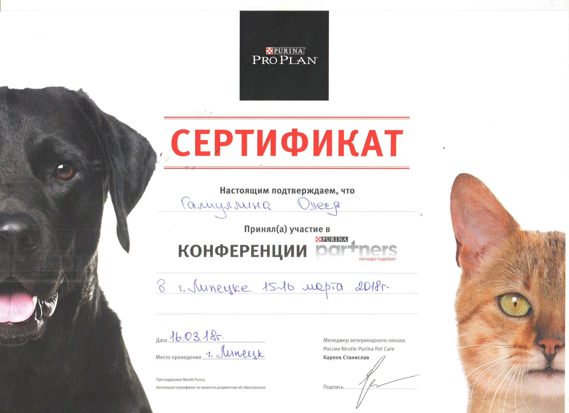 Документ или сертификат