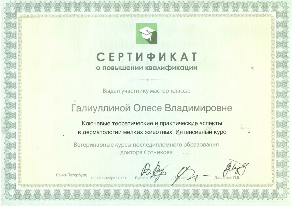 Документ или сертификат