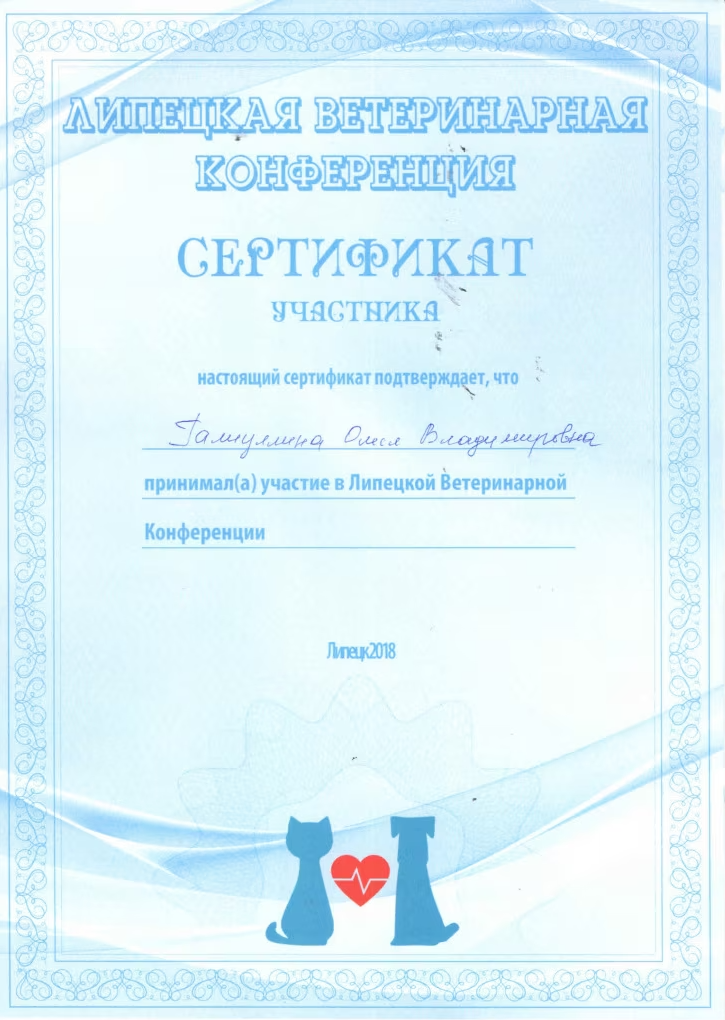 Документ или сертификат