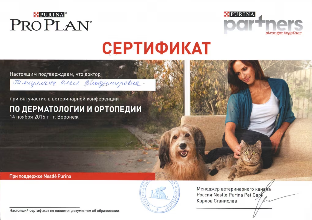 Документ или сертификат