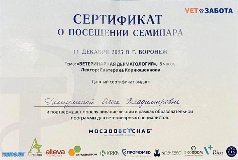 Документ или сертификат