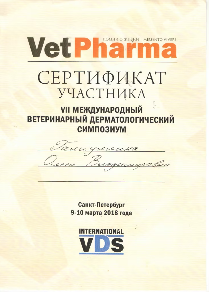 Документ или сертификат