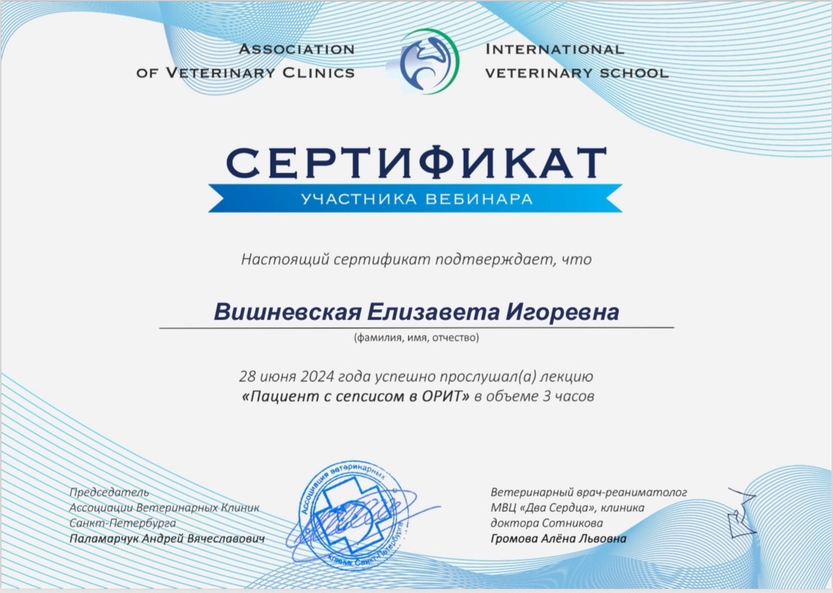 Документ или сертификат