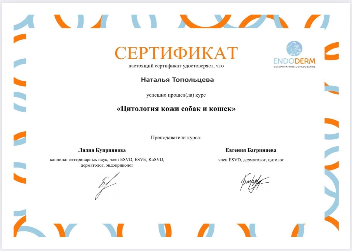Документ или сертификат