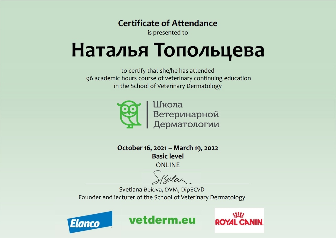 Документ или сертификат
