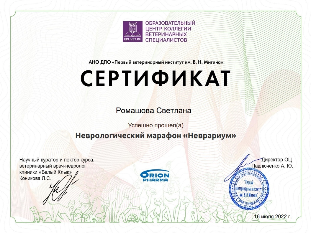 Документ или сертификат