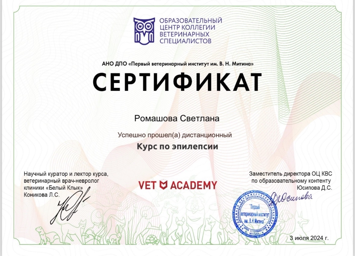 Документ или сертификат