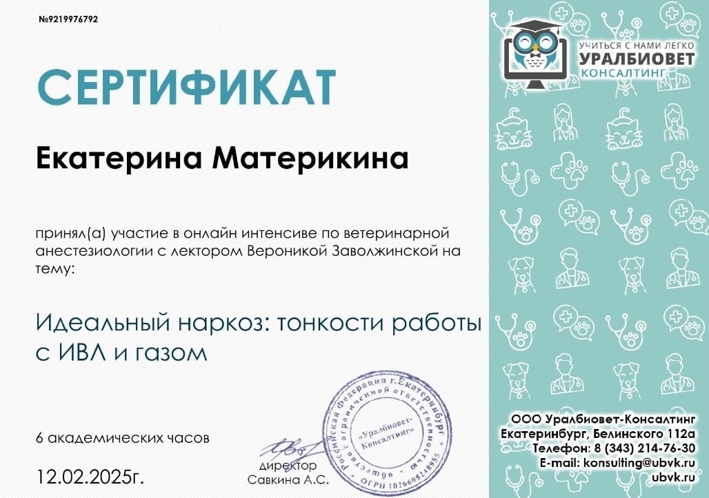 Документ или сертификат