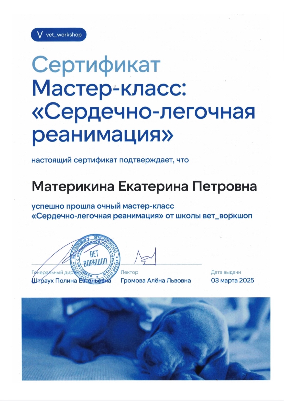 Документ или сертификат