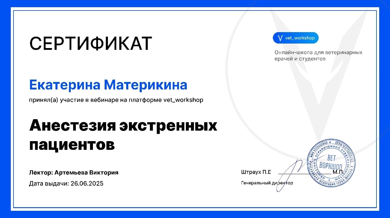 Документ или сертификат