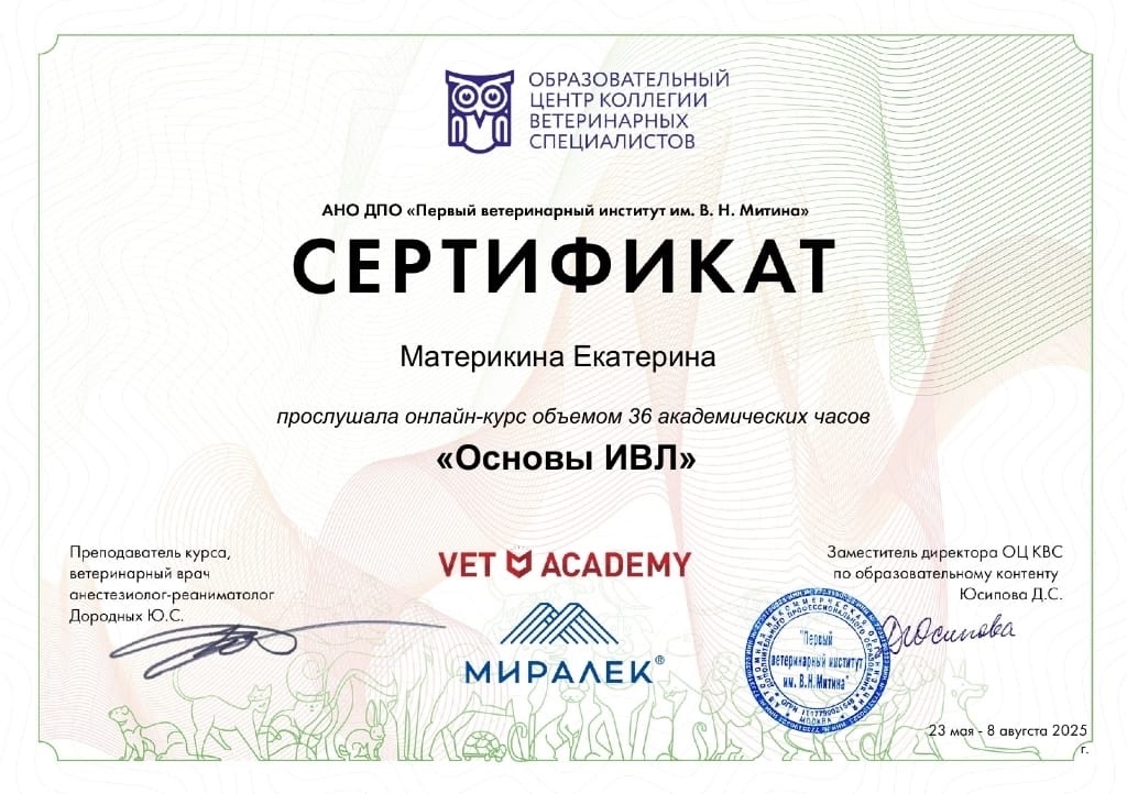 Документ или сертификат