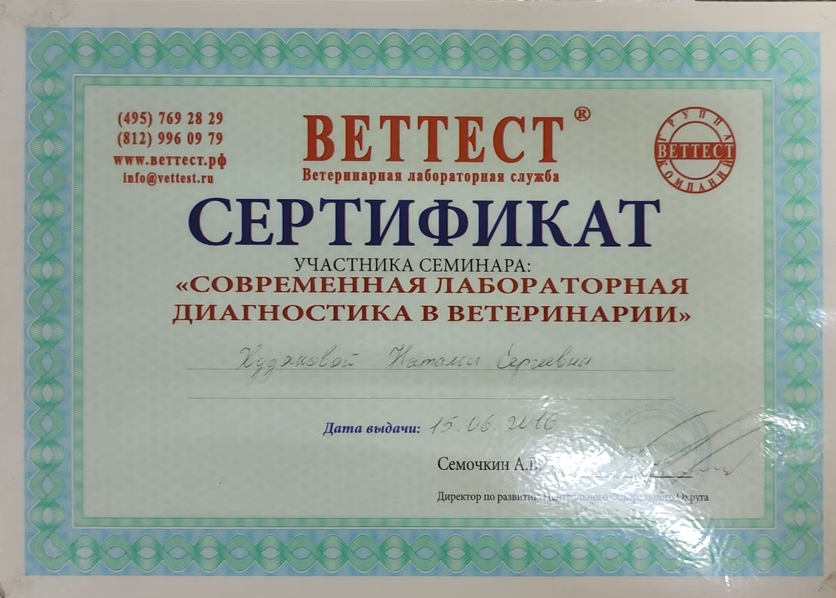 Документ или сертификат