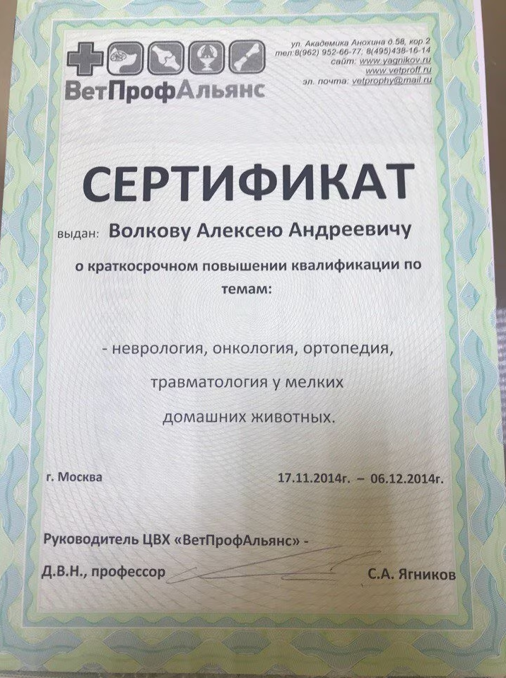 Документ или сертификат