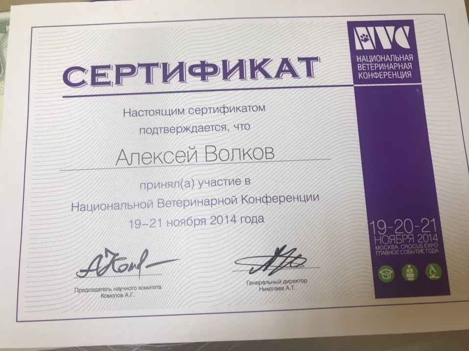Документ или сертификат