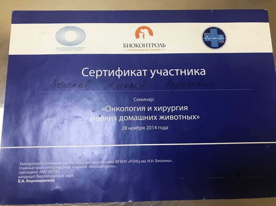 Документ или сертификат