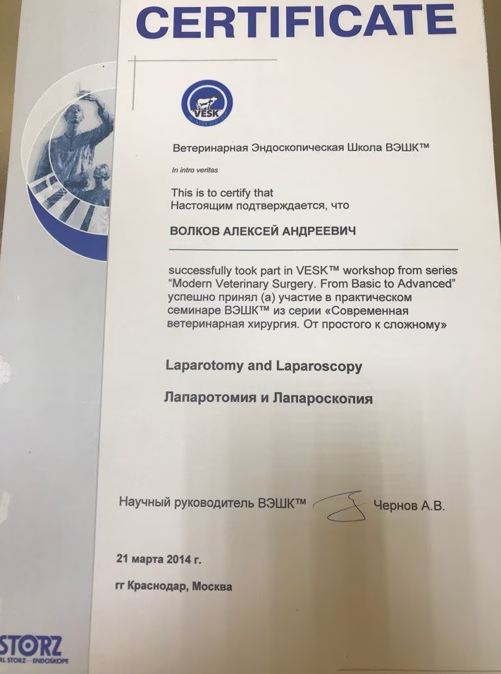 Документ или сертификат