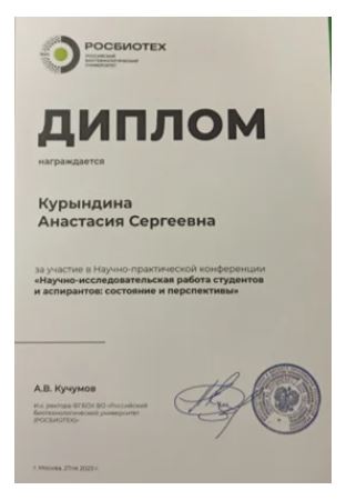 Документ или сертификат