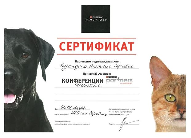 Документ или сертификат