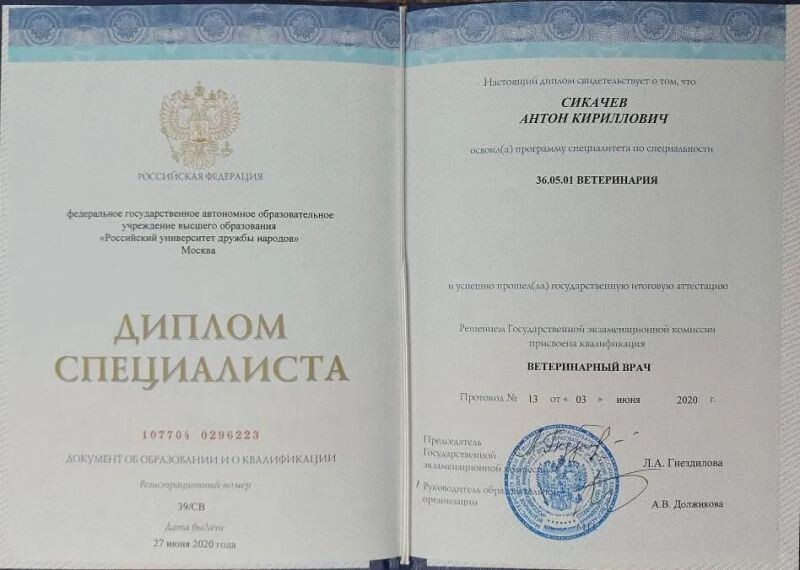 Документ или сертификат